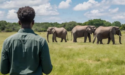 Serengeti Expedition