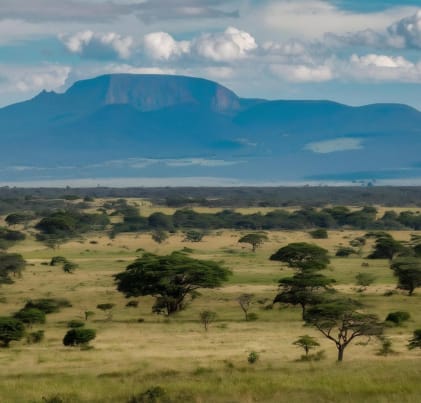 image of east Africa