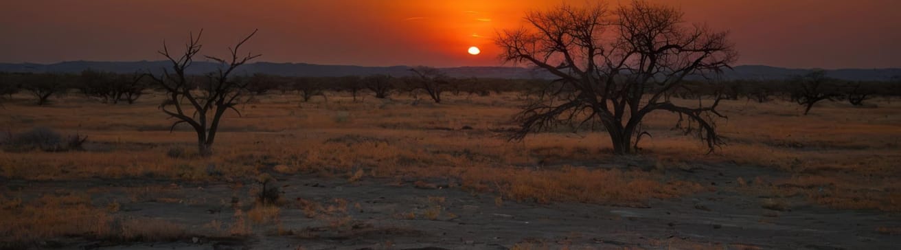  image of sunset